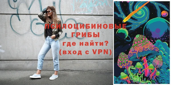 дживик Балахна