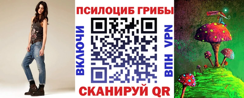 наркотики  Новая Ладога  Псилоцибиновые грибы Cubensis 