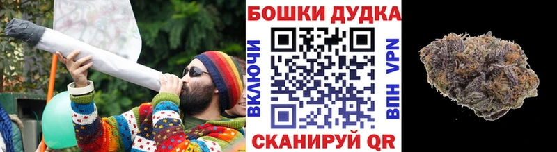закладки  Новая Ладога  Канабис тримм 